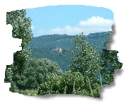 Blick auf Schloss Rothestein